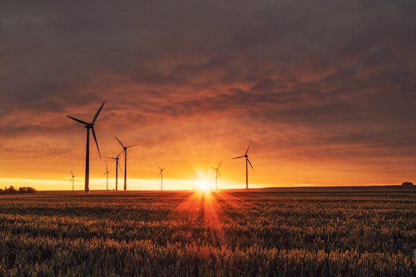 Energia odnawialna i zasoby naturalne